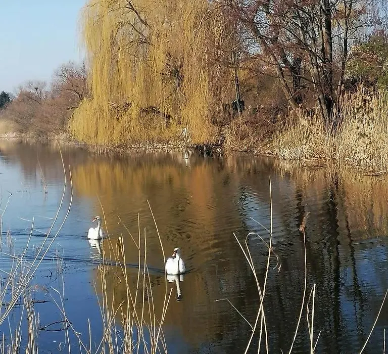 *Dana pokoje gościnne-1